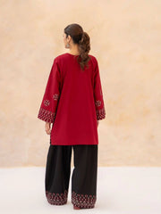 Pretty Embroidery 2 Piece Stitched